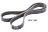 ASHIKA 112-5PK1080 V-Ribbed Belts